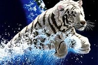 pic for Tiger On Ice 